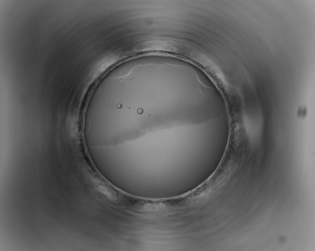 X0000102840882200808181345