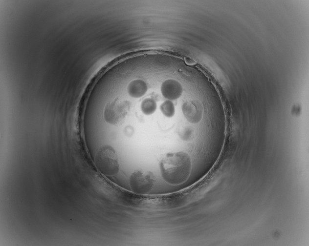 X0000102840883200808181345