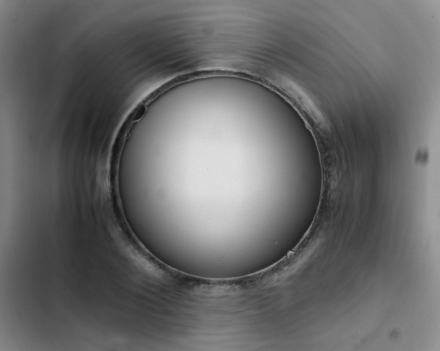 X0000102840884200808181345