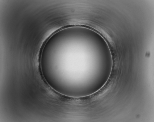 X0000102840885200808181345