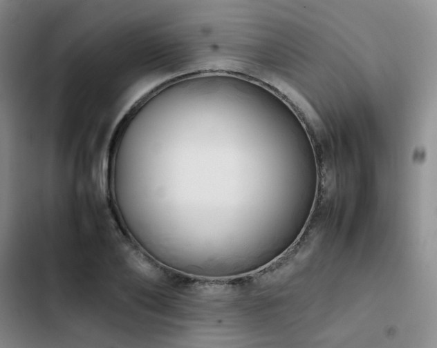 X0000102840886200808181345