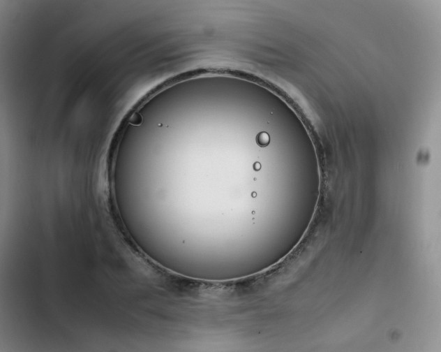 X0000102840887200808181345