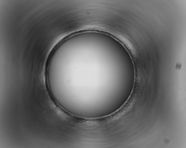 X0000102840888200808181345