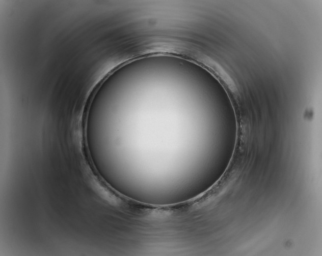 X0000102840890200808181345