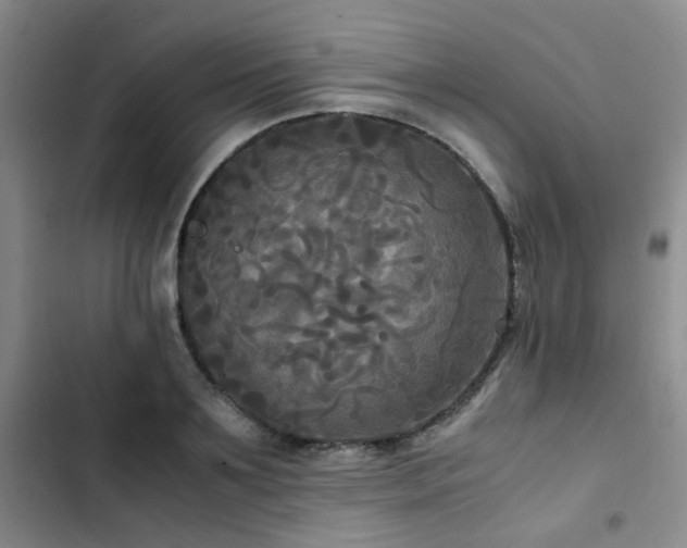 X0000102840891200808181345