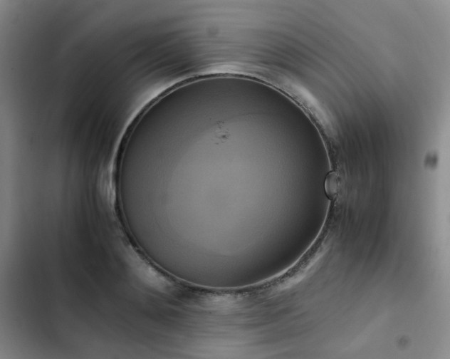 X0000102840892200808181345