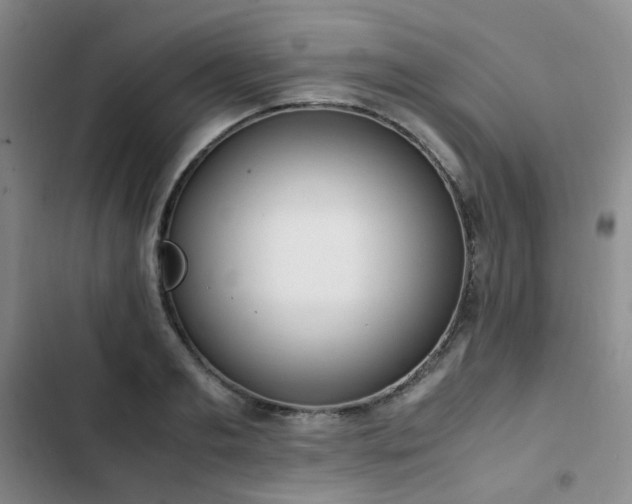 X0000102840893200808181345