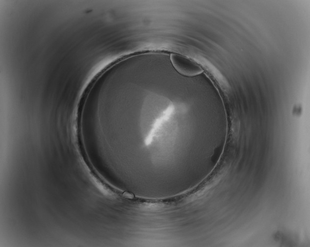 X0000102840894200808181345