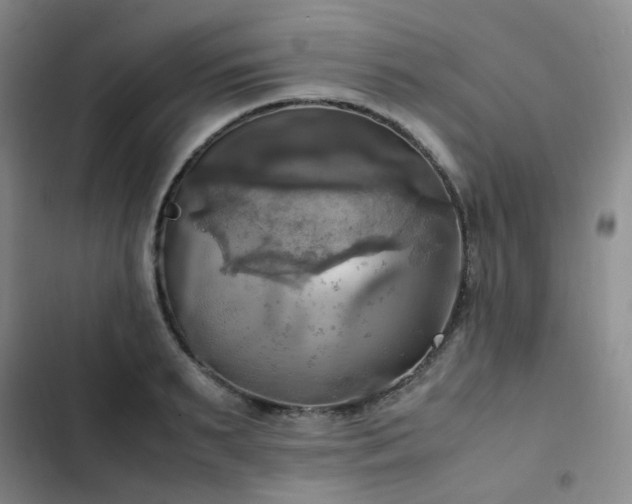 X0000102840895200808181345