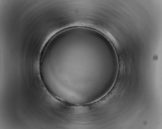 X0000102840896200808181345