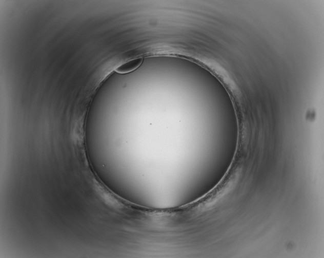 X0000102840897200808181345