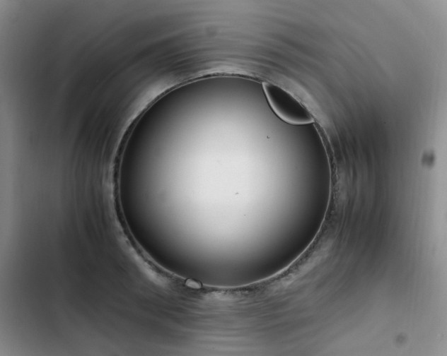 X0000102840898200808181345