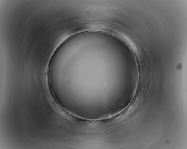 X0000102840899200808181345