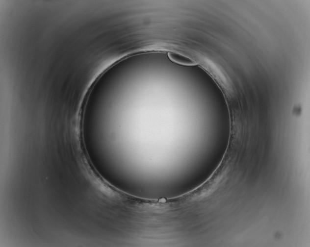 X0000102840900200808181345