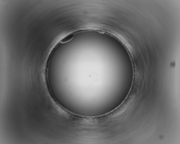 X0000102840901200808181345