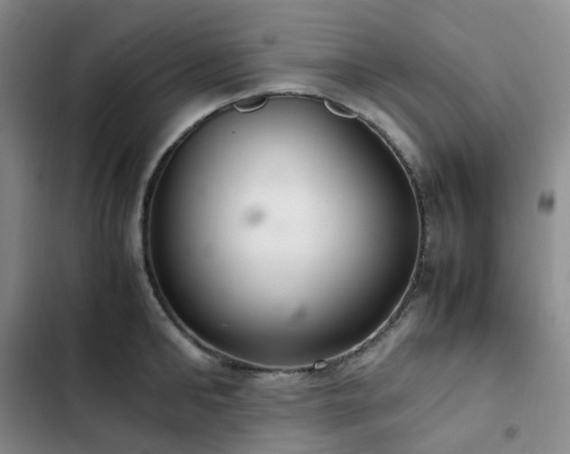 X0000102840902200808181345