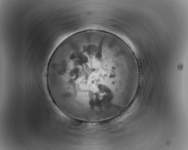 X0000102840903200808181345