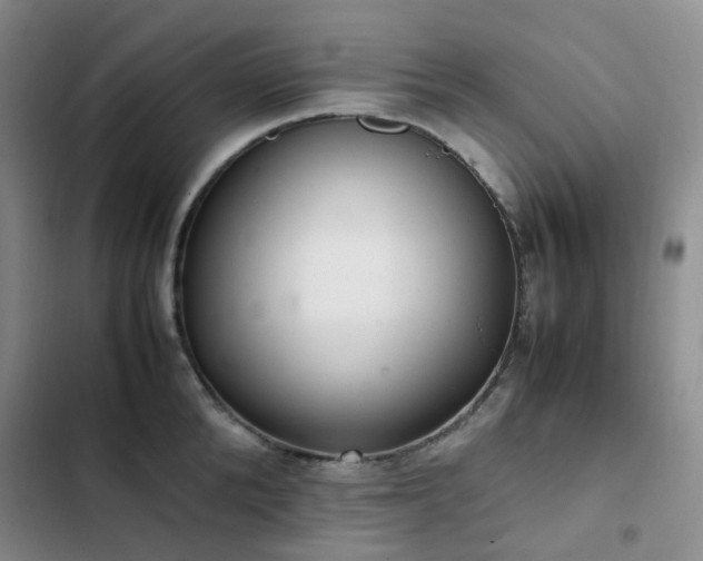 X0000102840904200808181345