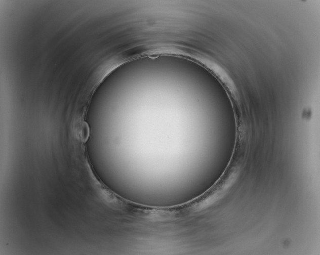 X0000102840905200808181345