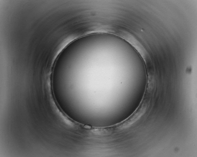 X0000102840906200808181345