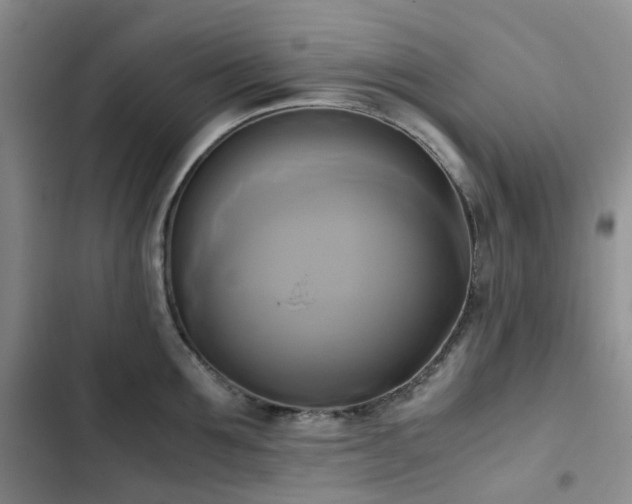 X0000102840907200808181345