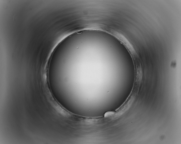 X0000102840908200808181345