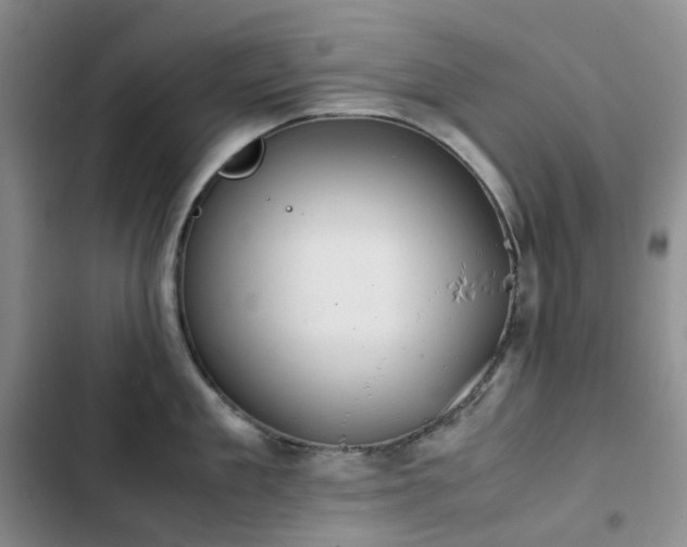 X0000102840909200808181345