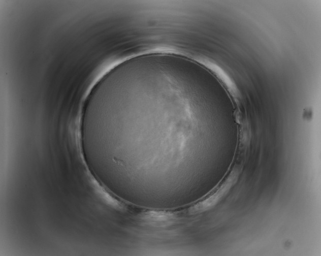 X0000102840910200808181345