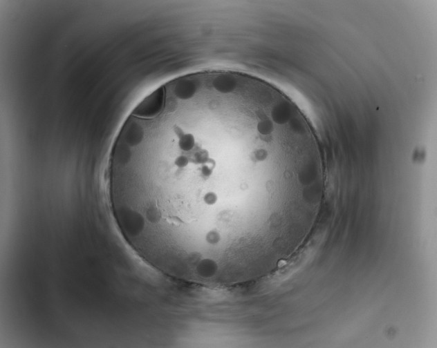 X0000102840911200808181345