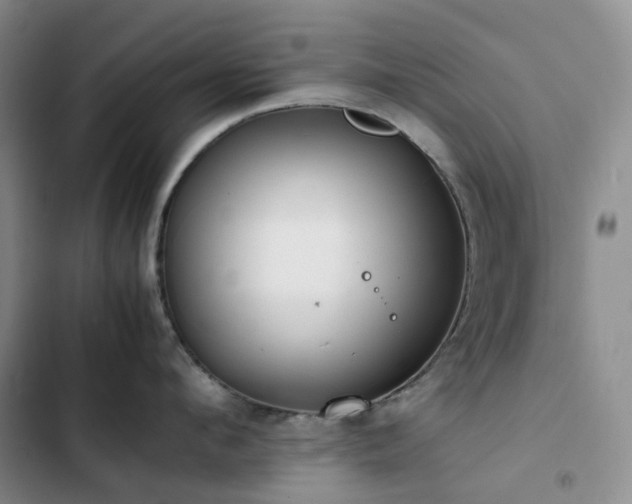 X0000102840912200808181345