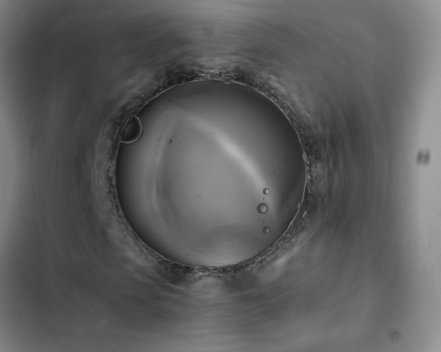 X0000102840913200808181344