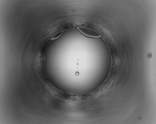 X0000102840914200808181344