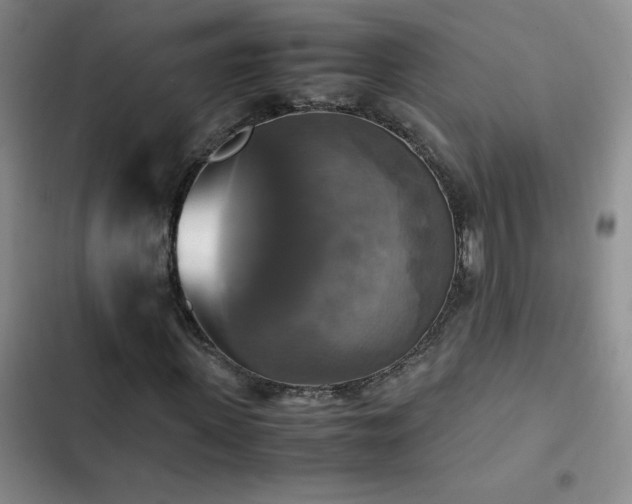 X0000102840915200808181344