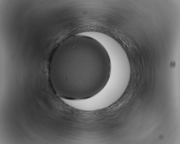 X0000102840916200808181344