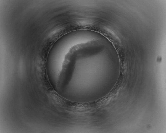 X0000102840917200808181344