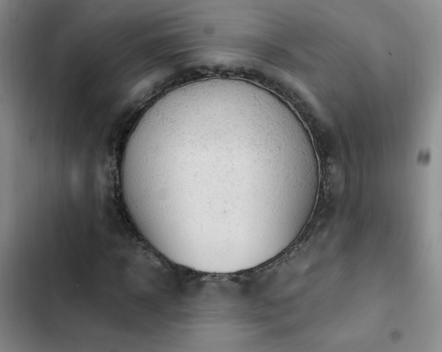 X0000102840918200808181344