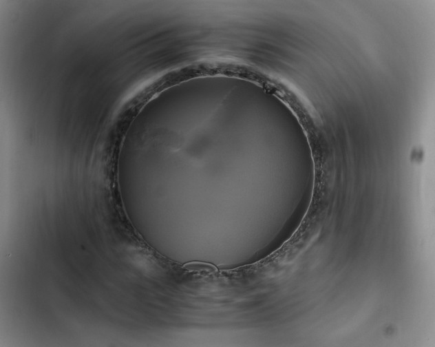 X0000102840919200808181344