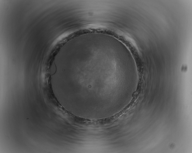 X0000102840920200808181344