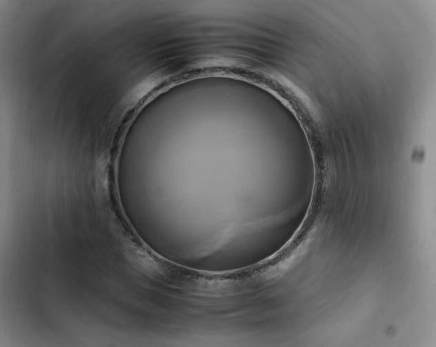 X0000102840921200808181344