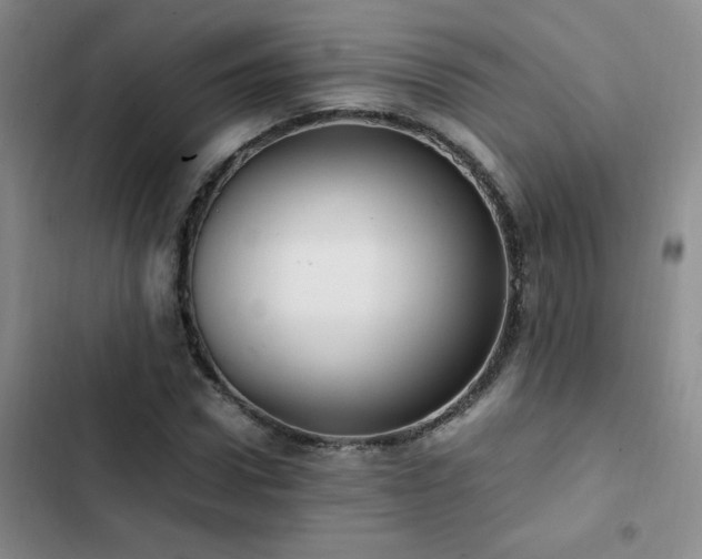 X0000102840922200808181344