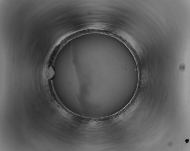 X0000102840923200808181344