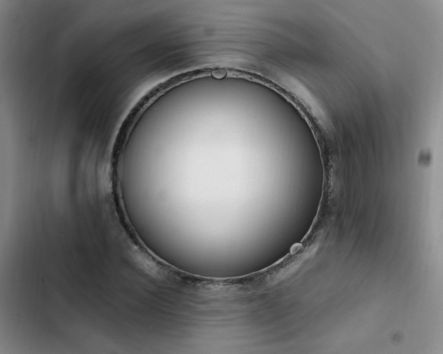 X0000102840924200808181344