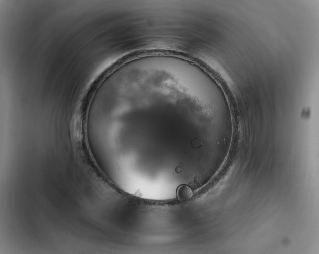 X0000102840925200808181344