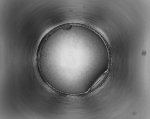 X0000102840928200808181344