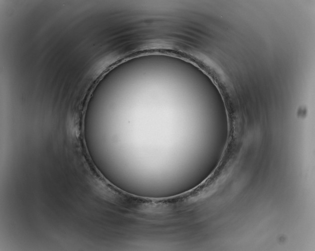 X0000102840929200808181344