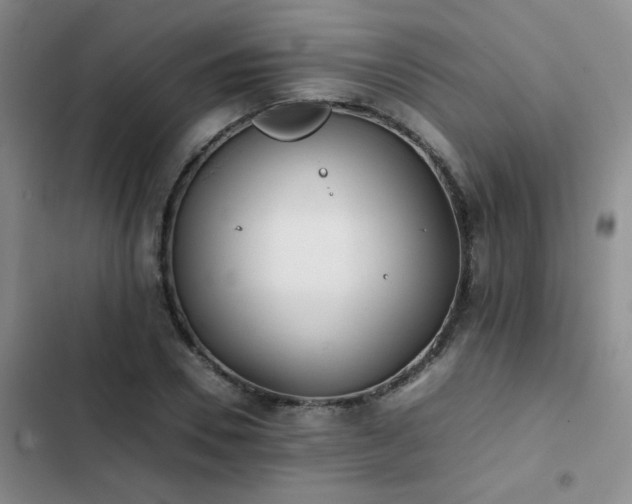 X0000102840930200808181344