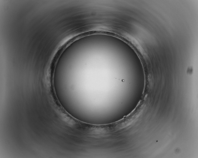 X0000102840931200808181344