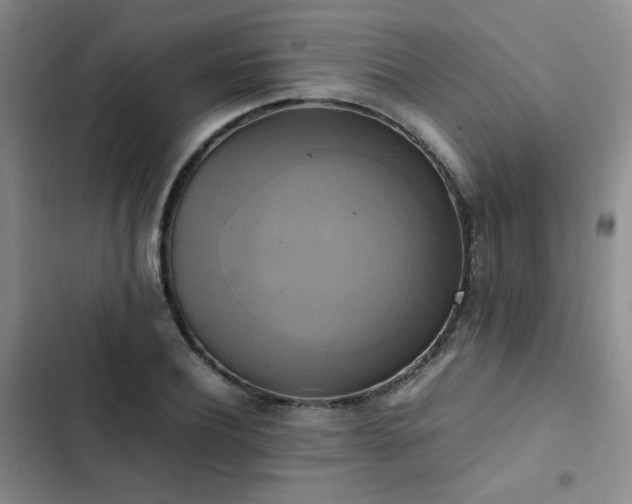 X0000102840932200808181344