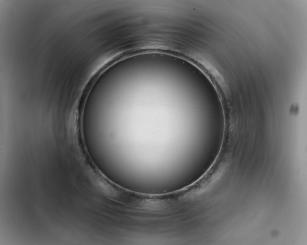 X0000102840933200808181344