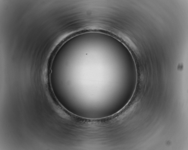 X0000102840934200808181344